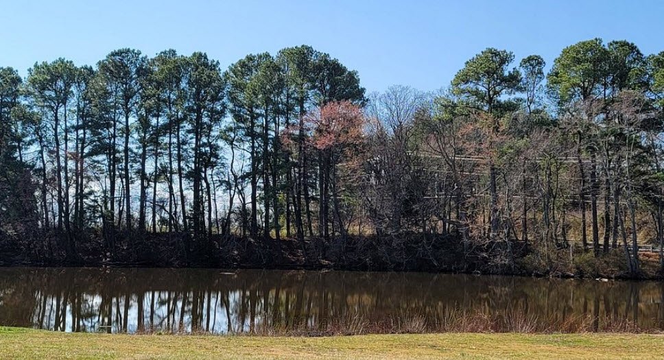 Cypress Branch State Park, Maryland, USA